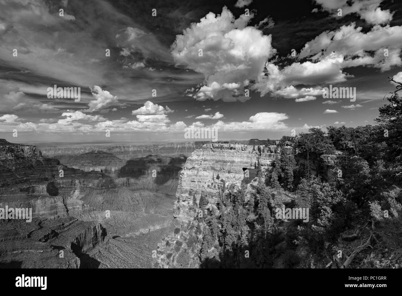 Angel's Fenster - North Rim des Grand Canyon, AZ Stockfoto