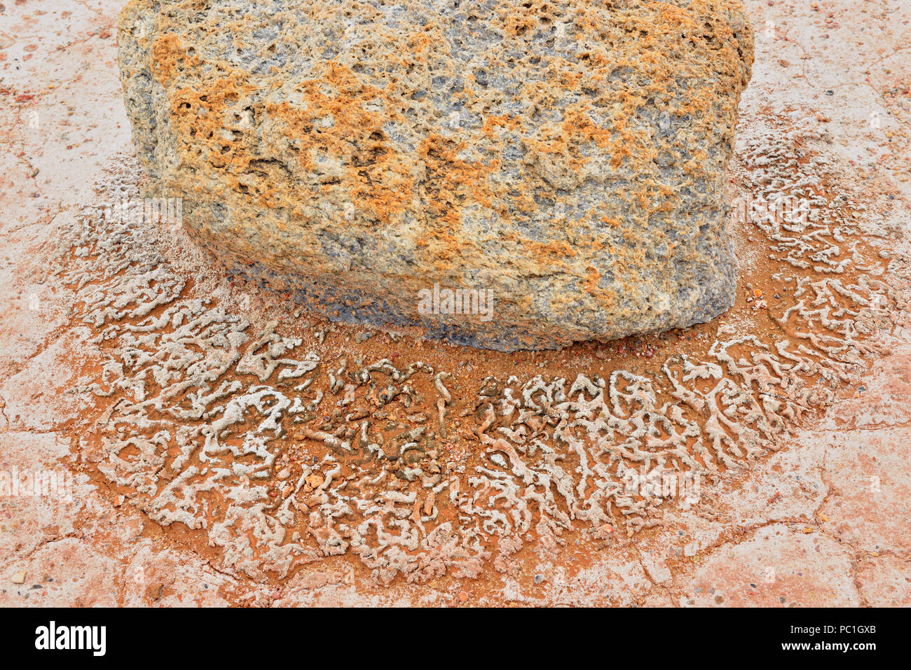 Salt Flats im Grosbeak See - mit Salz - geätzt Findling, Wood Buffalo National Park, Alberta, Kanada Stockfoto