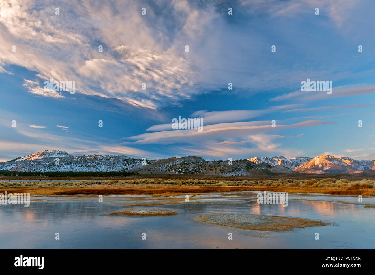 Sunrise, Feuchtgebiete, Mono Basin National Forest Scenic Area, Inyo National Forest, östlichen Sierra, Kalifornien Stockfoto