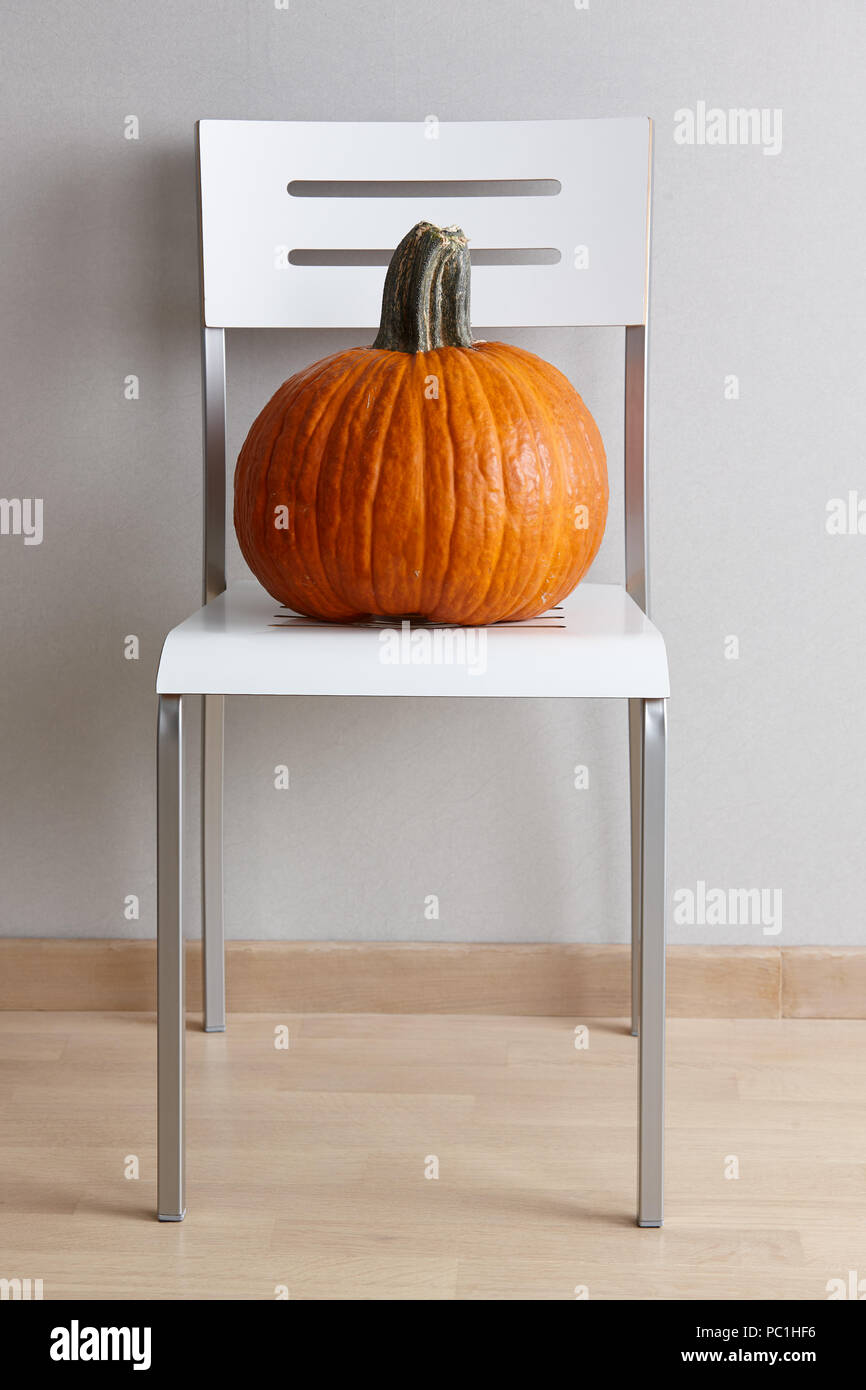 Große orange Kürbis auf ein weißes, modernes Stuhl auf grauen Hintergrund, Herbst und Halloween Home Decor Stockfoto