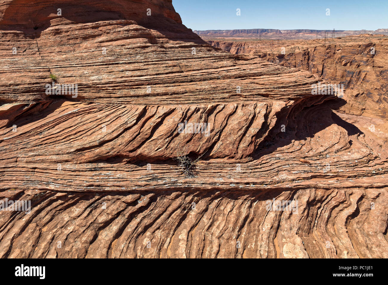 Die Betten Navajo Sandstein im Horseshoe Bend, Glen Canyon National Recreation Area, Page, Arizona Stockfoto