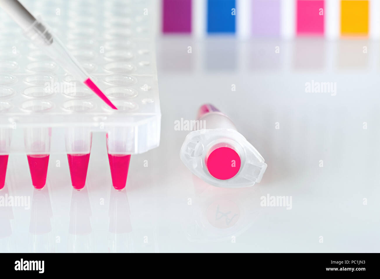 Wissenschaft und Molekularbiologie Hintergrund mit Text. Disposable Pipette mit rosa-farbige DNA-Amplifikation Mischung dispenced in Kunststoff Brunnen, Stockfoto