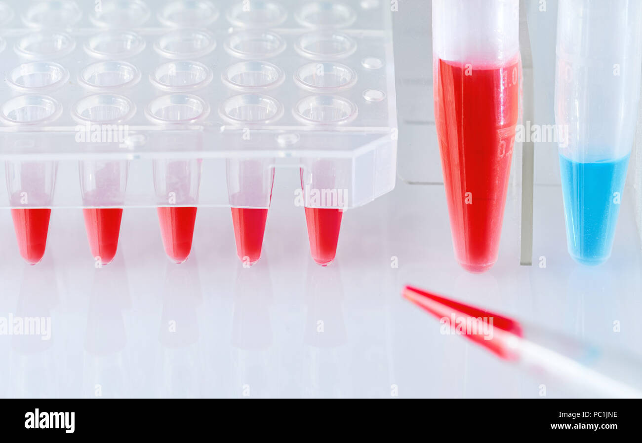 Wissenschaft und Molekularbiologie Hintergrund mit Text. Kunststoffrohr mit blauen DNA Probe und roten Röhrchen mit der PCR-Reaktionsmischung. Stockfoto