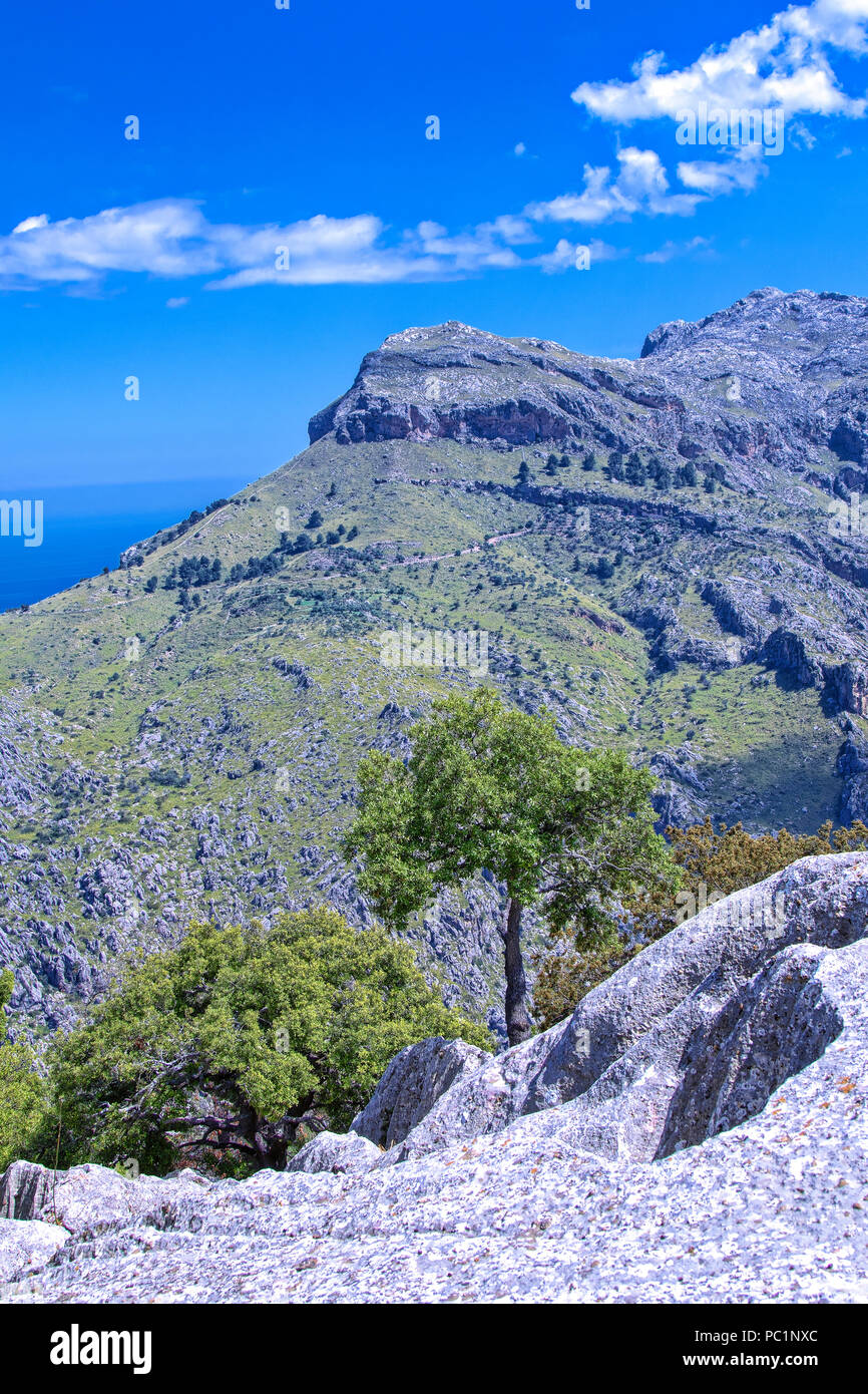 Die Serra Tramuntana in der Nähe von Puig Major Stockfoto