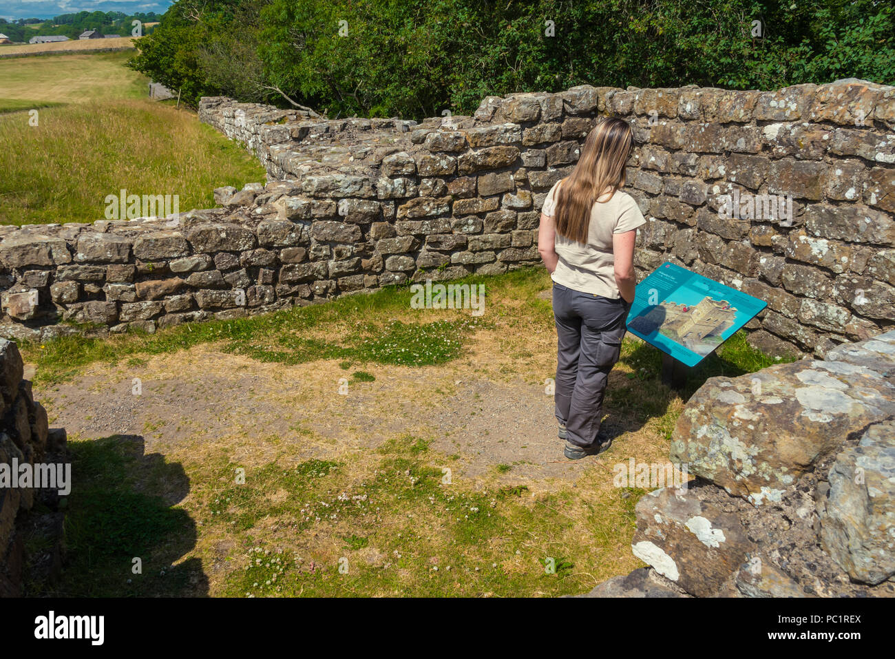 Steinmauer dem Hadrianswall in England Großbritannien Stockfoto