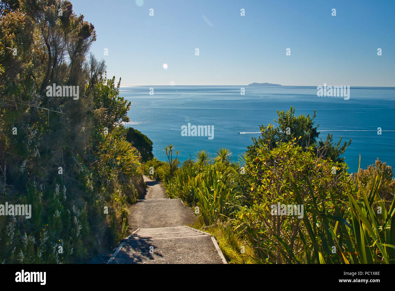 Blick vom Wanderweg auf den Gipfel des Mount Maunganui. Stockfoto