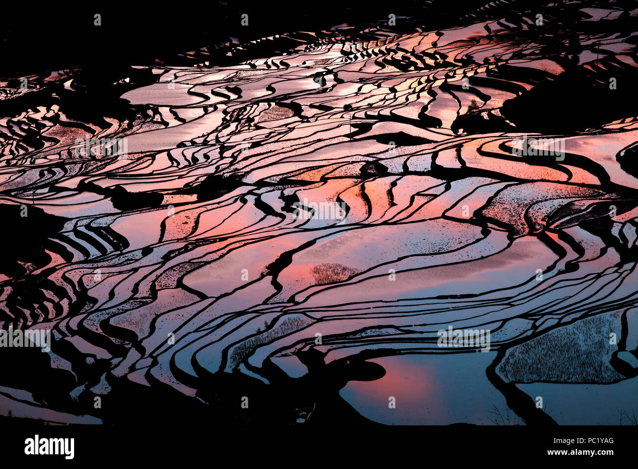 Sonnenaufgang über Reisterrassen von Yuanyang, im Süden der Provinz Yunnan, China. Im Winter, die Terrassen sind überschwemmt, die schöne Spiegelungen im Wasser. Stockfoto
