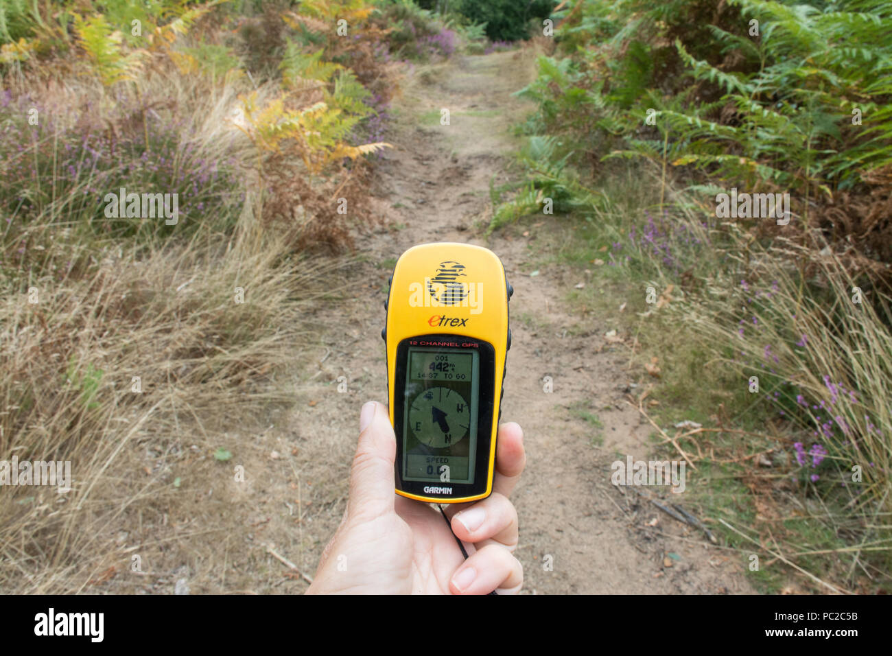 Frau mit einem Handheld Garmin GPS-Gerät den Weg in die Landschaft (Heide) Wanderwege zu finden Stockfoto