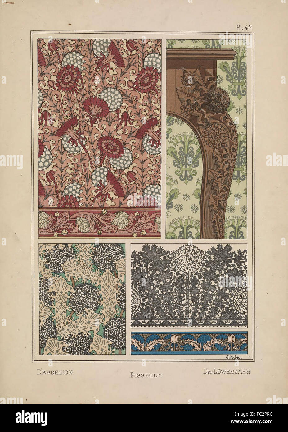 485 Pissenlit par Juliette Milesi Stockfoto