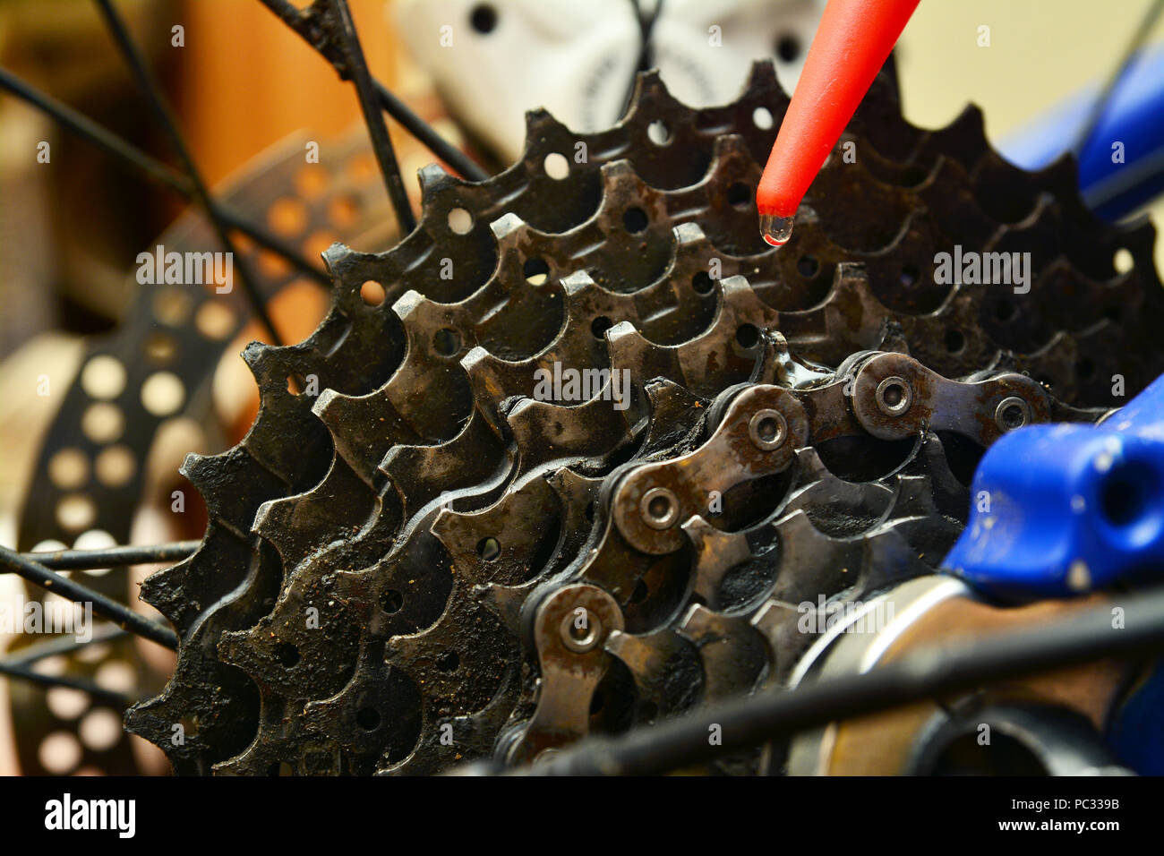 Schmierfett schmieren ein Fahrrad Getriebe Zahnrad Stockfoto