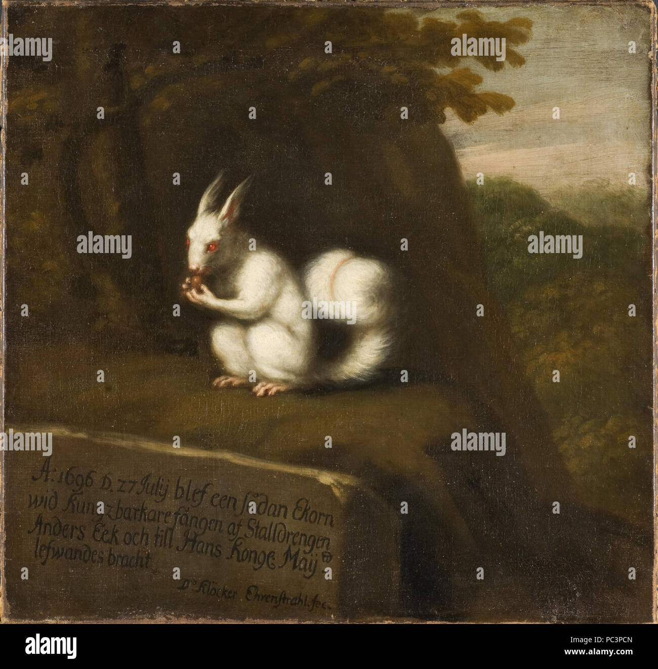 David Klöcker Ehrenstrahl: Vit ekorre ich Landskap. Olja på Duk. NM 5234 93 weißen Eichhörnchen in einer Landschaft (David Klöcker Ehrenstrahl) - Nationalmuseum - 22284 Stockfoto