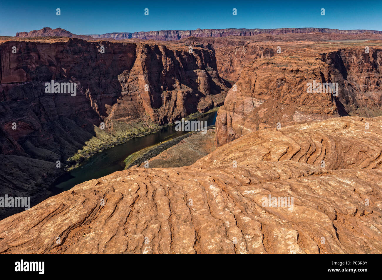 Exfoliating Navajo Sandstein im Horseshoe Bend, Glen Canyon National Recreation Area, Page, Arizona Stockfoto
