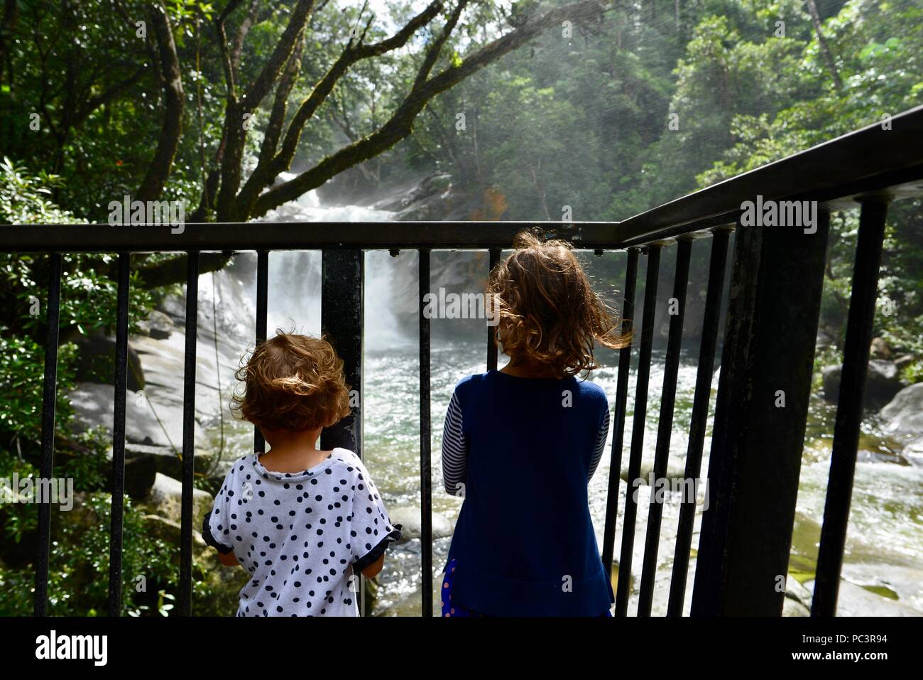 Zwei Kinder an Josephine Falls, Josephine Falls suchen gehen, Bartle Frere, QLD, Australien Stockfoto