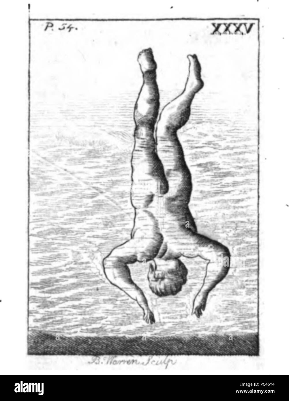 592 Die Kunst des Schwimmens-35 Stockfoto