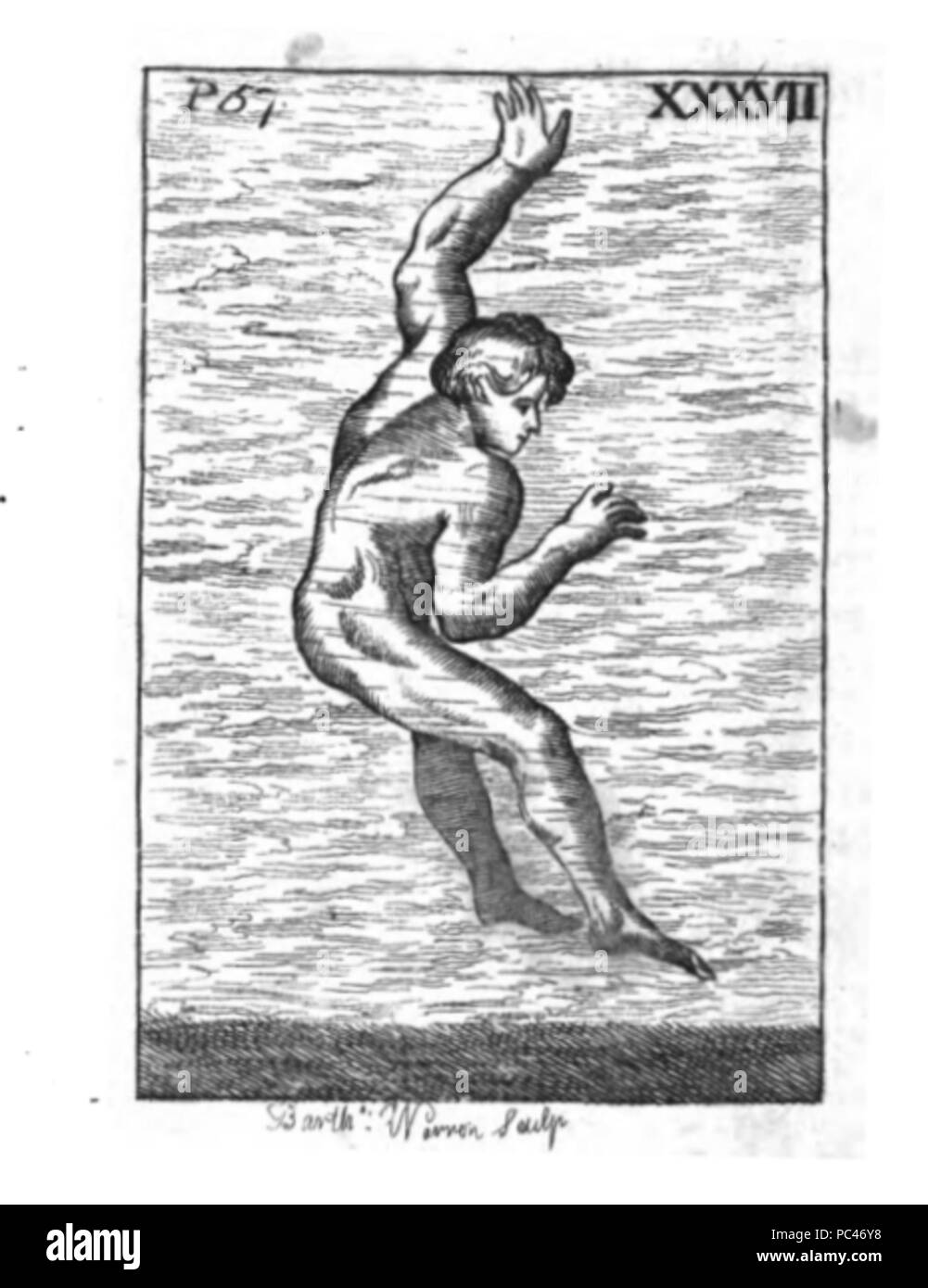 592 Die Kunst des Schwimmens-37 Stockfoto