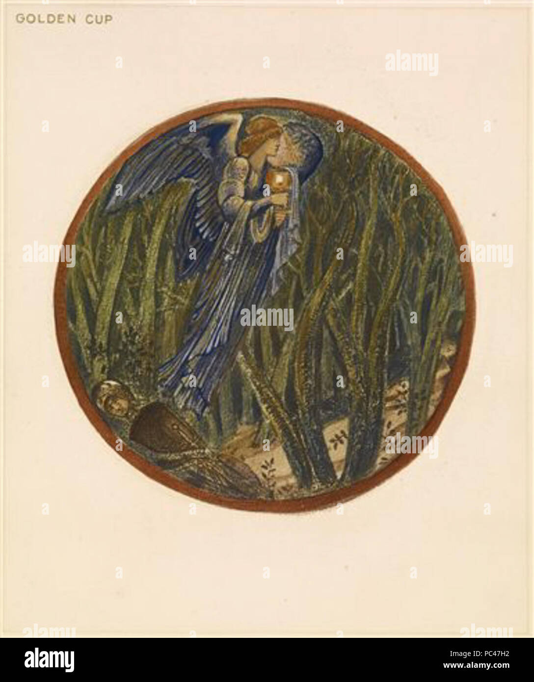 595 Die Blume Buch - Golden Cup Stockfoto