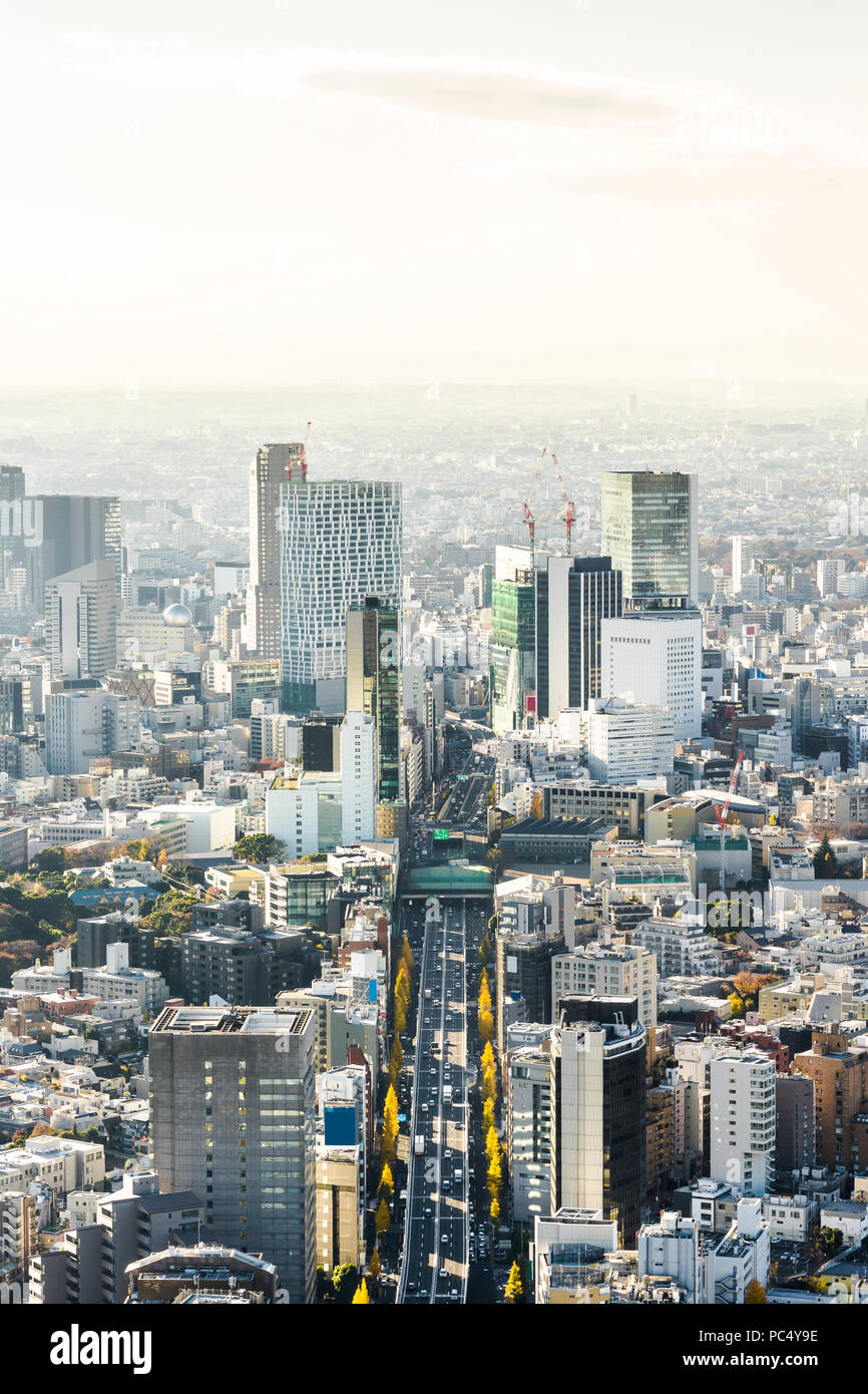 Asien Business Konzept für Immobilien und Corporate Bau - Panoramablick auf die moderne Skyline der Stadt aus der Vogelperspektive Luftaufnahme von Shinjuku und Shibuya unter blau Stockfoto