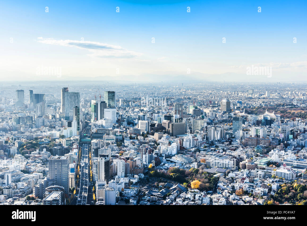 Asien Business Konzept für Immobilien und Corporate Bau - Panoramablick auf die moderne Skyline der Stadt aus der Vogelperspektive Luftaufnahme von Shinjuku und Shibuya unter blau Stockfoto