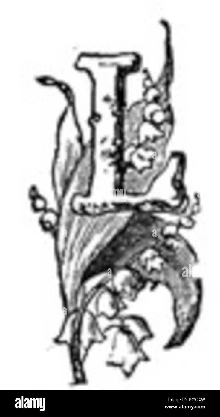 23 Drop Cap L Stockfoto