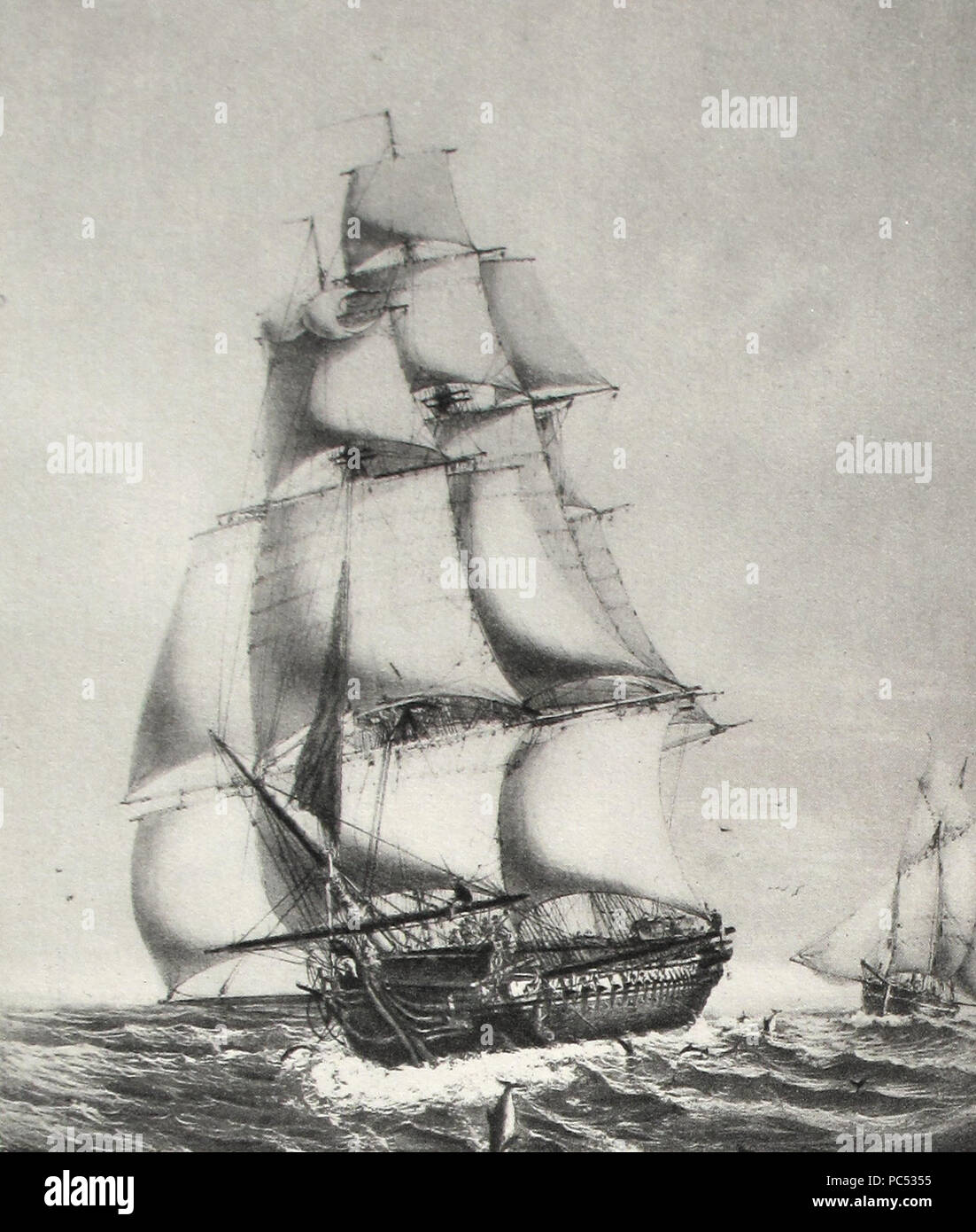 417 Minerve Lebreton img 3110 Stockfoto