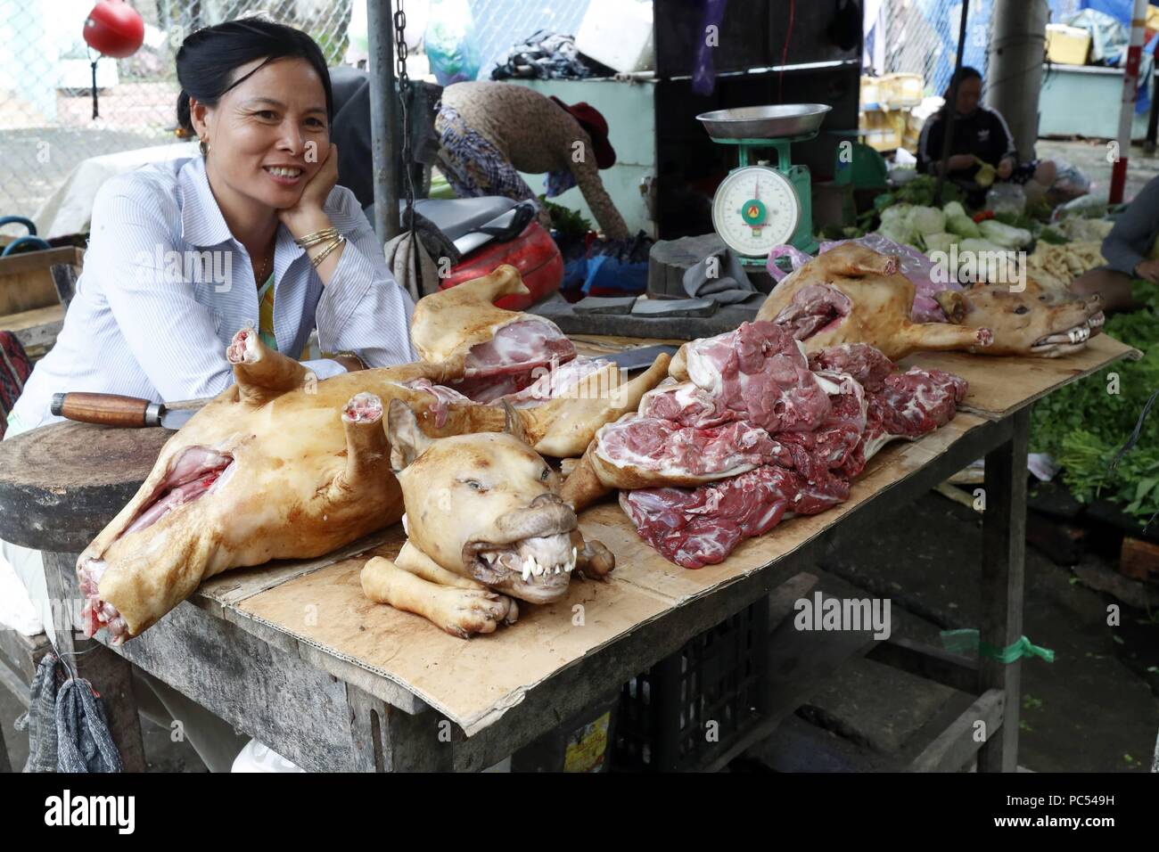 Kon Tum Markt. Frau Verkauf von Hundefleisch. Vietnam. Verwendung