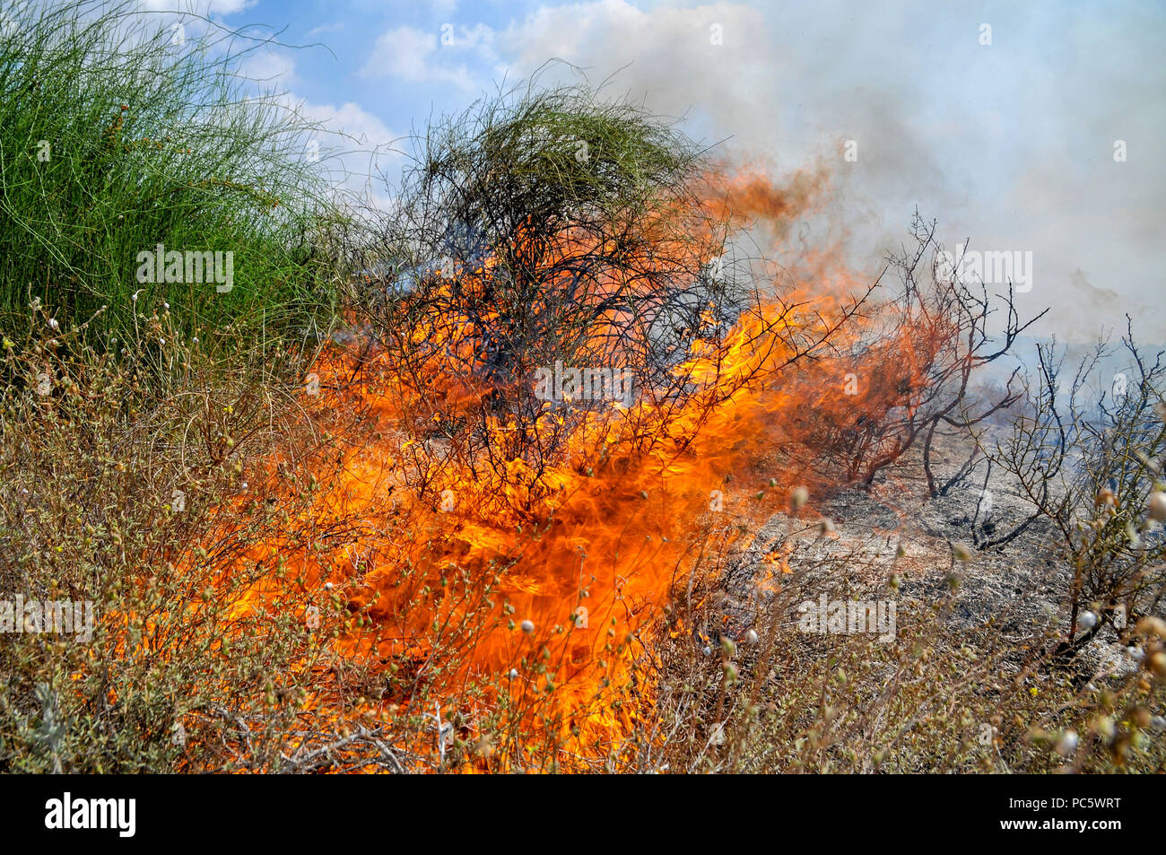 Brennende Feld durch Kite Bomben, die von Gaza mit einer beleuchteten Benzin getränkte Lappen geflogen wurden, um Brände zu israelischen Felder und Fruchtarten zu setzen. Fotografiert auf Stockfoto