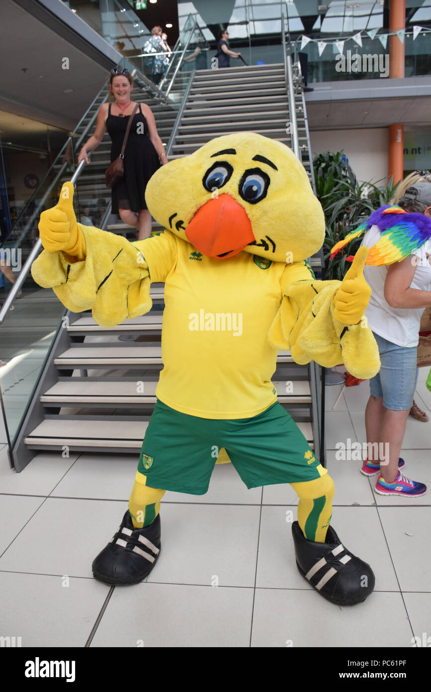 Norwich Stolz, 28. Juli 2018 IM VEREINIGTEN KÖNIGREICH - Norwich FC Maskottchen, Kapitän Kanarischen Stockfoto