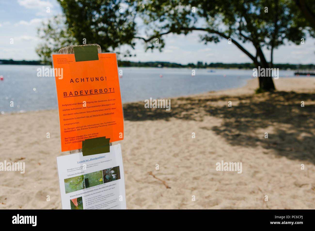 01. August 2018, Deutschland, Schleswig: Blick auf ein Strandabschnitt für die Badegäste geschlossen. Baden in der Schlei ist derzeit aufgrund von Verunreinigung des Wassers durch blau-grüne Algen verboten. Durch die hohe Hitze, blau-grüne Algen haben an mehreren Badegewässer in Schleswig-Holstein gegründet. Foto: Frank Molter/dpa Stockfoto