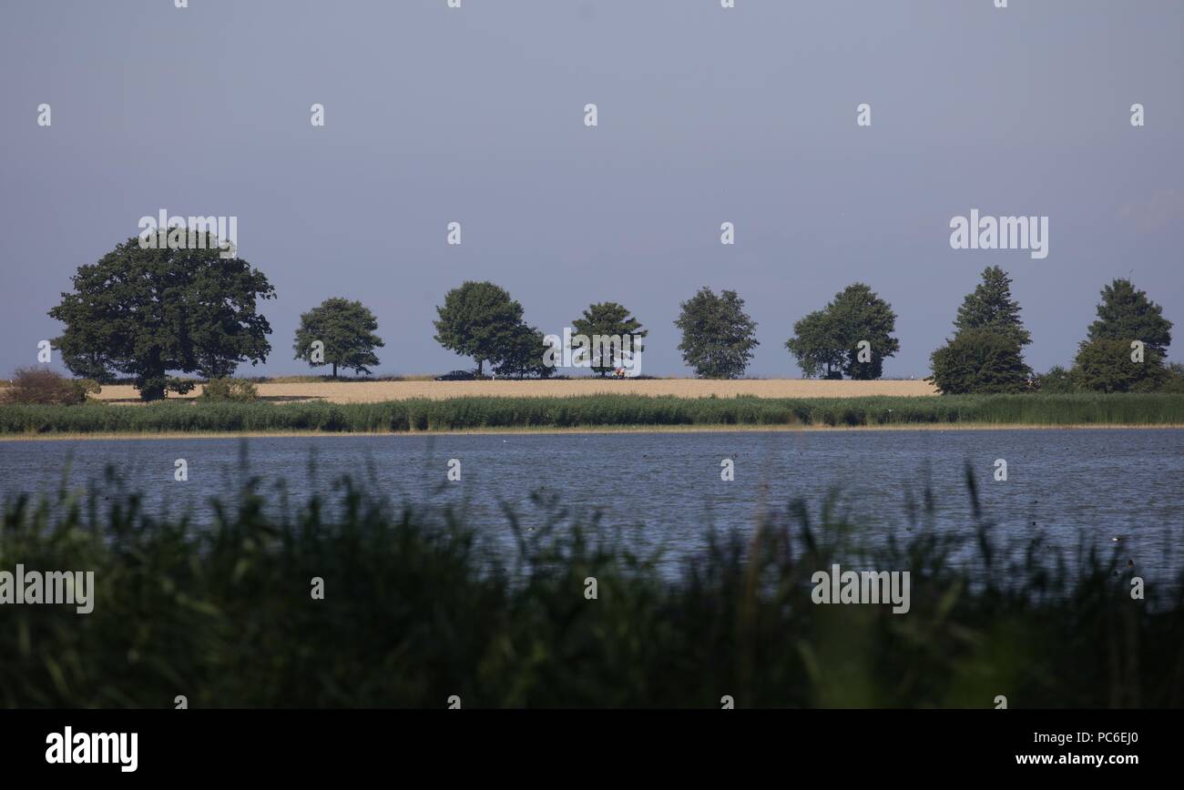 Hohwacht, Deutschland. 23. Juli 2018. firo Land und Leute Tourismus Natur, Naturschutzgebiet Behrensdorfer Binnensee der Grossen Binnensee ist ein 4,8 km² großer Strand See in Schleswig-Holstein im Kreis Plön | Verwendung der weltweiten Kredit: dpa/Alamy leben Nachrichten Stockfoto