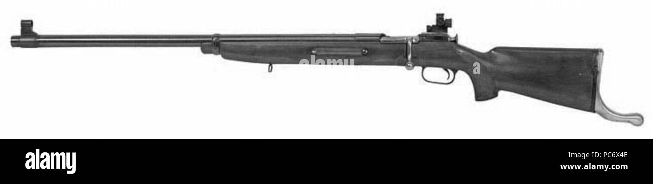 634 Vintovka-s-49-Dragunov Stockfoto
