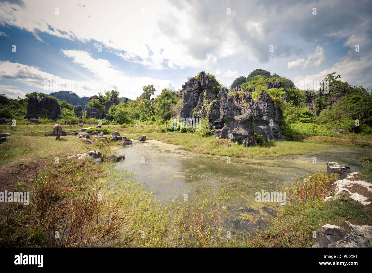Wunderschöne Kalksteine, karste und Wasser Reflexionen in Rammang Rammang Park in der Nähe von Makassar, Südsulawesi, Indonesien Stockfoto