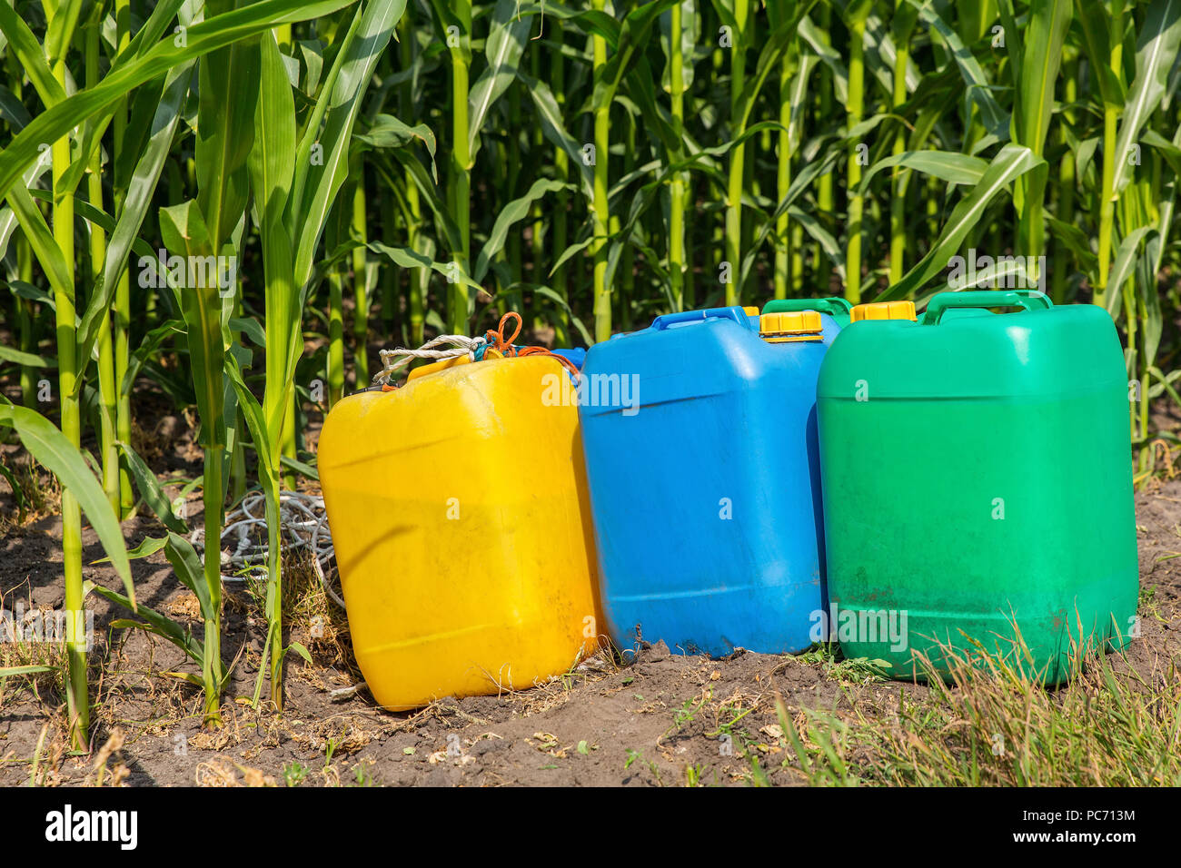 Pestizide in farbigen Kanister im Maisfeld mit Pflanzen Stockfoto