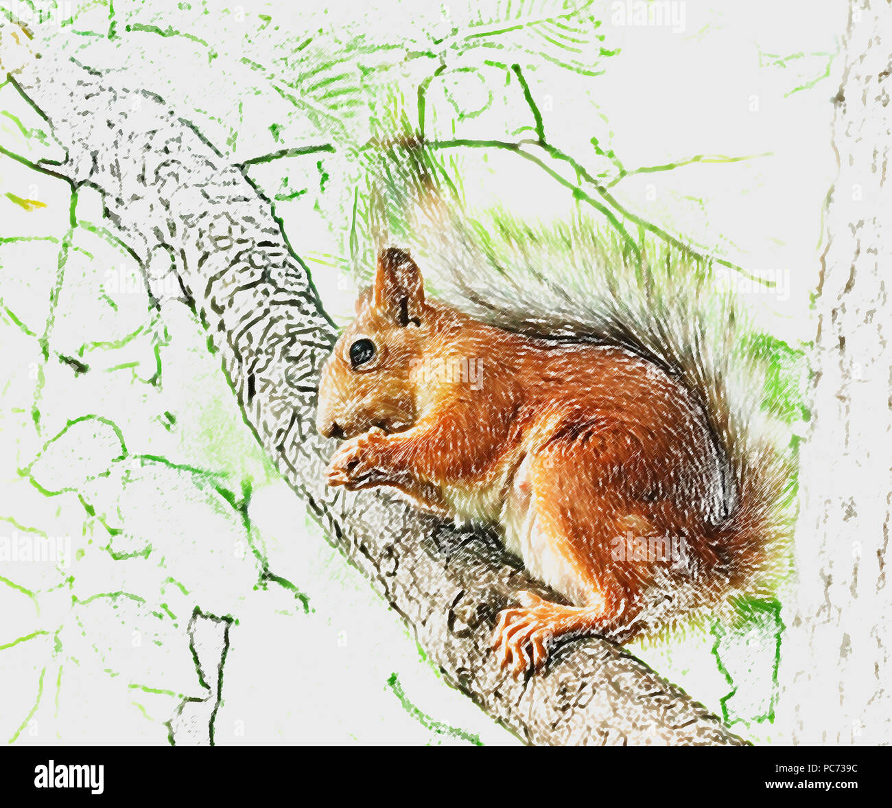 Ziemlich Eichhörnchen am Baum Wirkung wie die Malerei von Computer Bild Stockfoto Ziemlich Eichhörnchen am Baum Wirkung wie die Malerei von Computer Bild Stockfoto