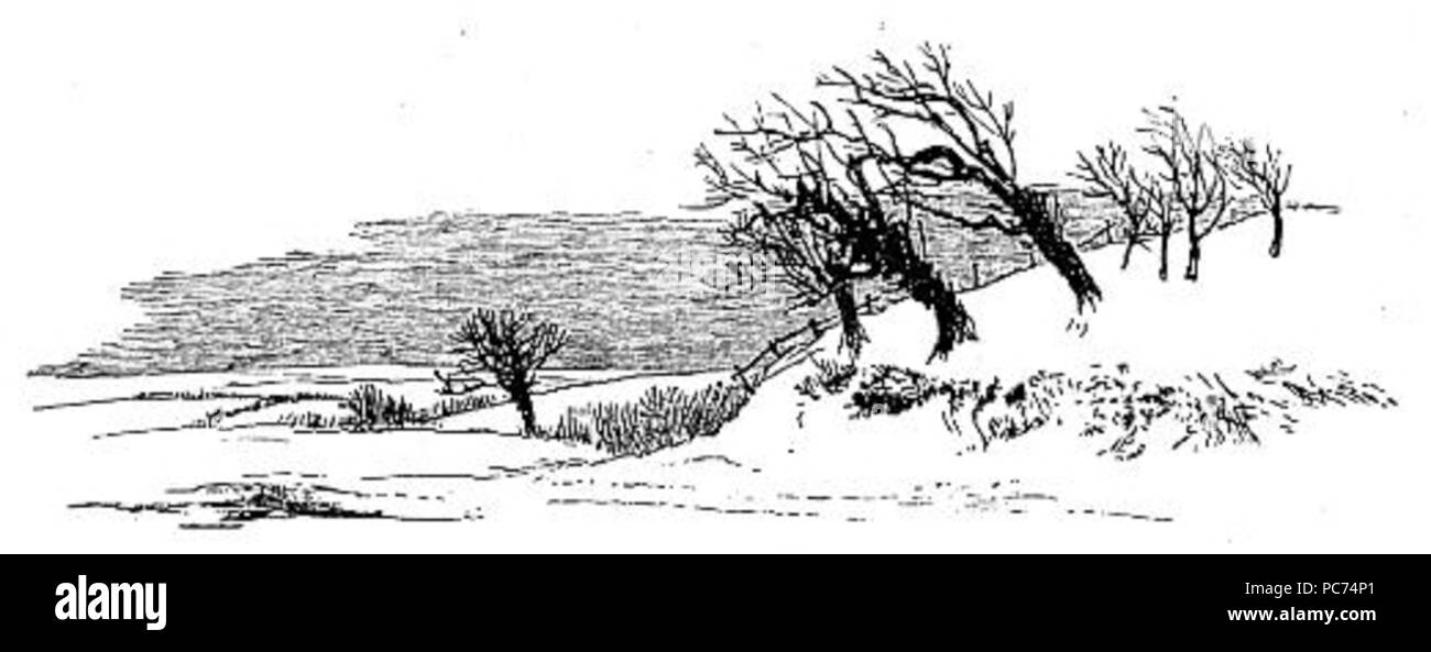 81 Einfache Schnee Szene Zeichnung Stockfoto