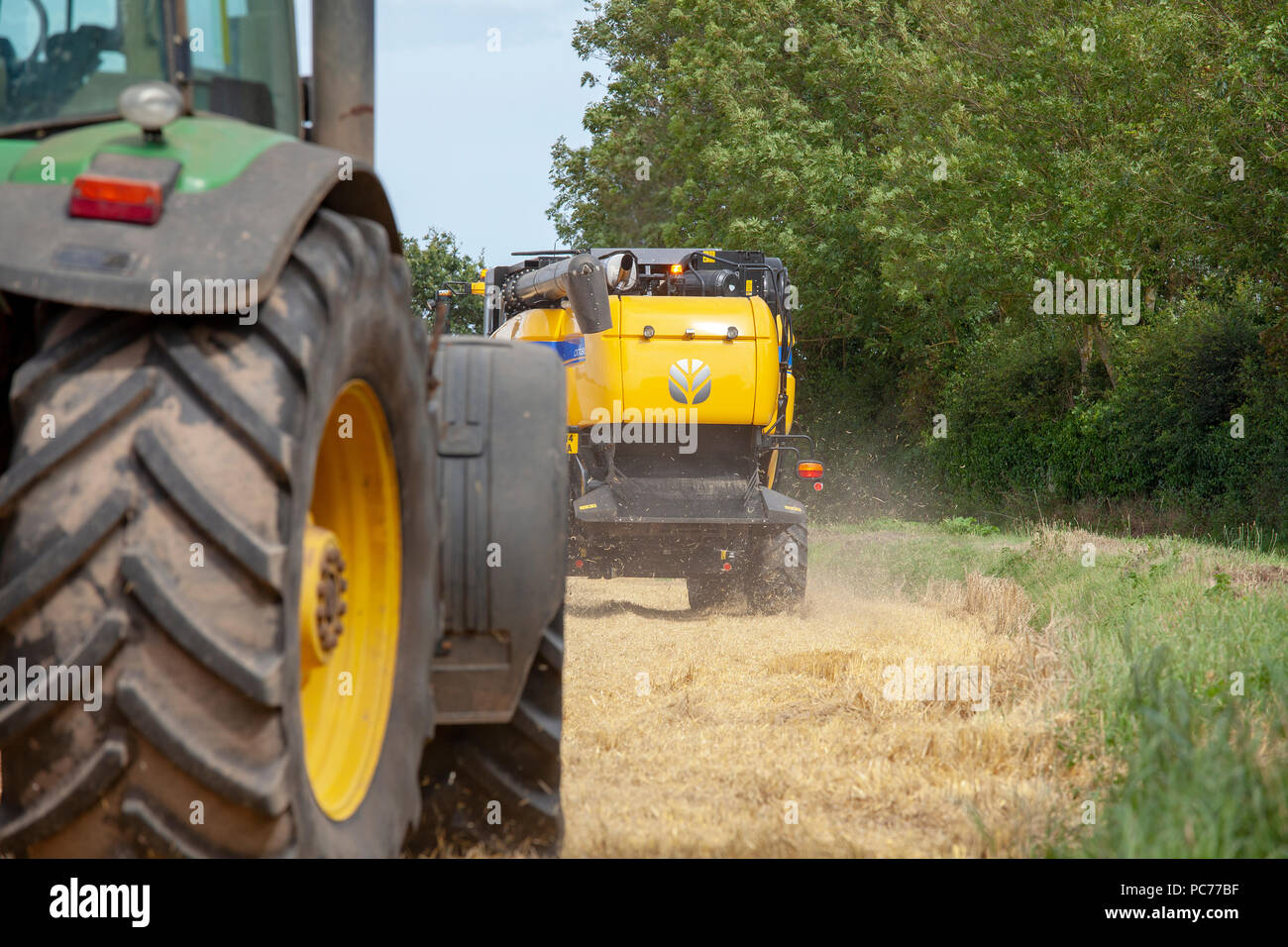 Mähdrescher Ernte von Gerste in Norfolk, Großbritannien. Stockfoto
