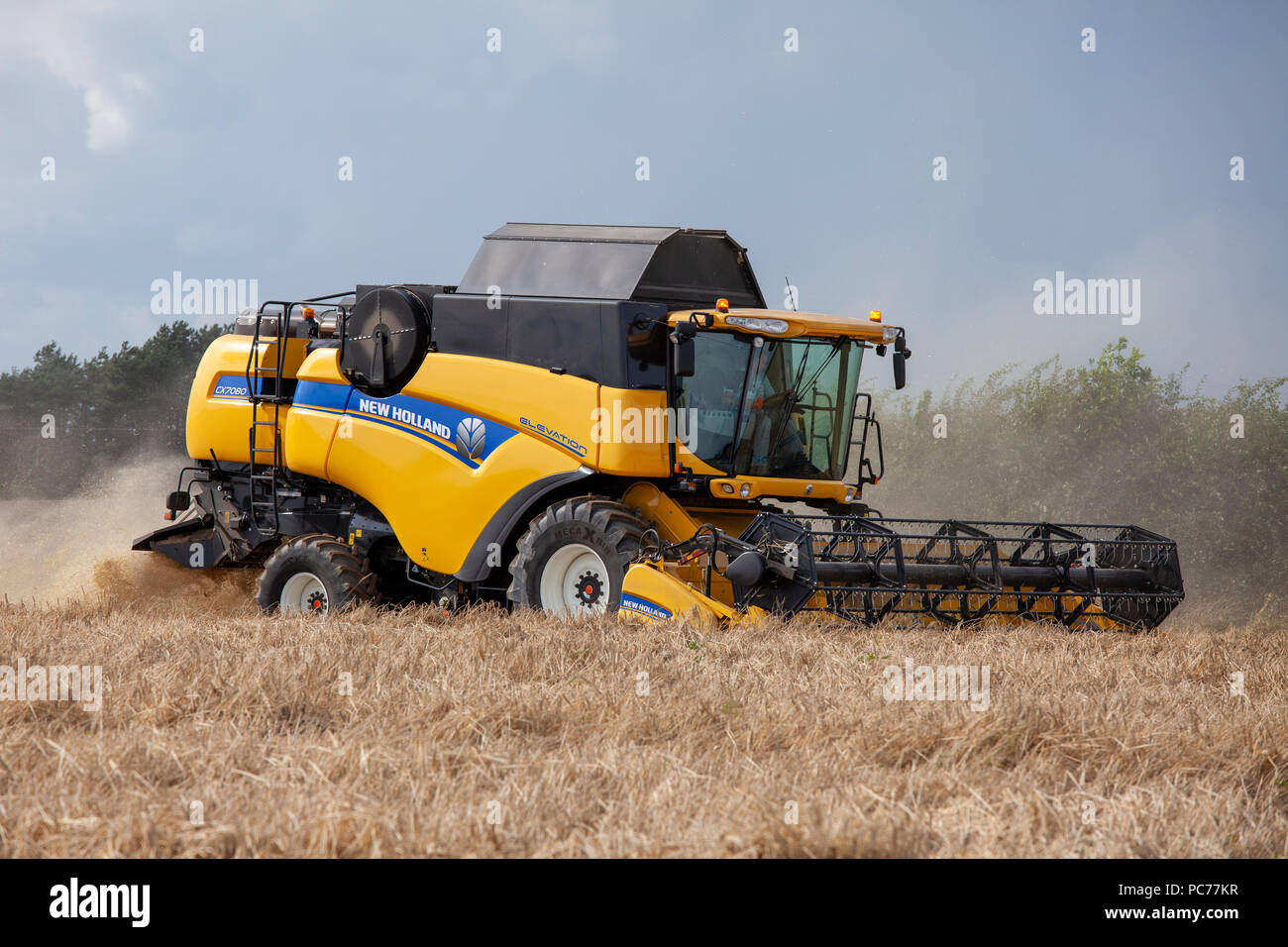 Mähdrescher Ernte von Gerste in Norfolk, Großbritannien. Stockfoto