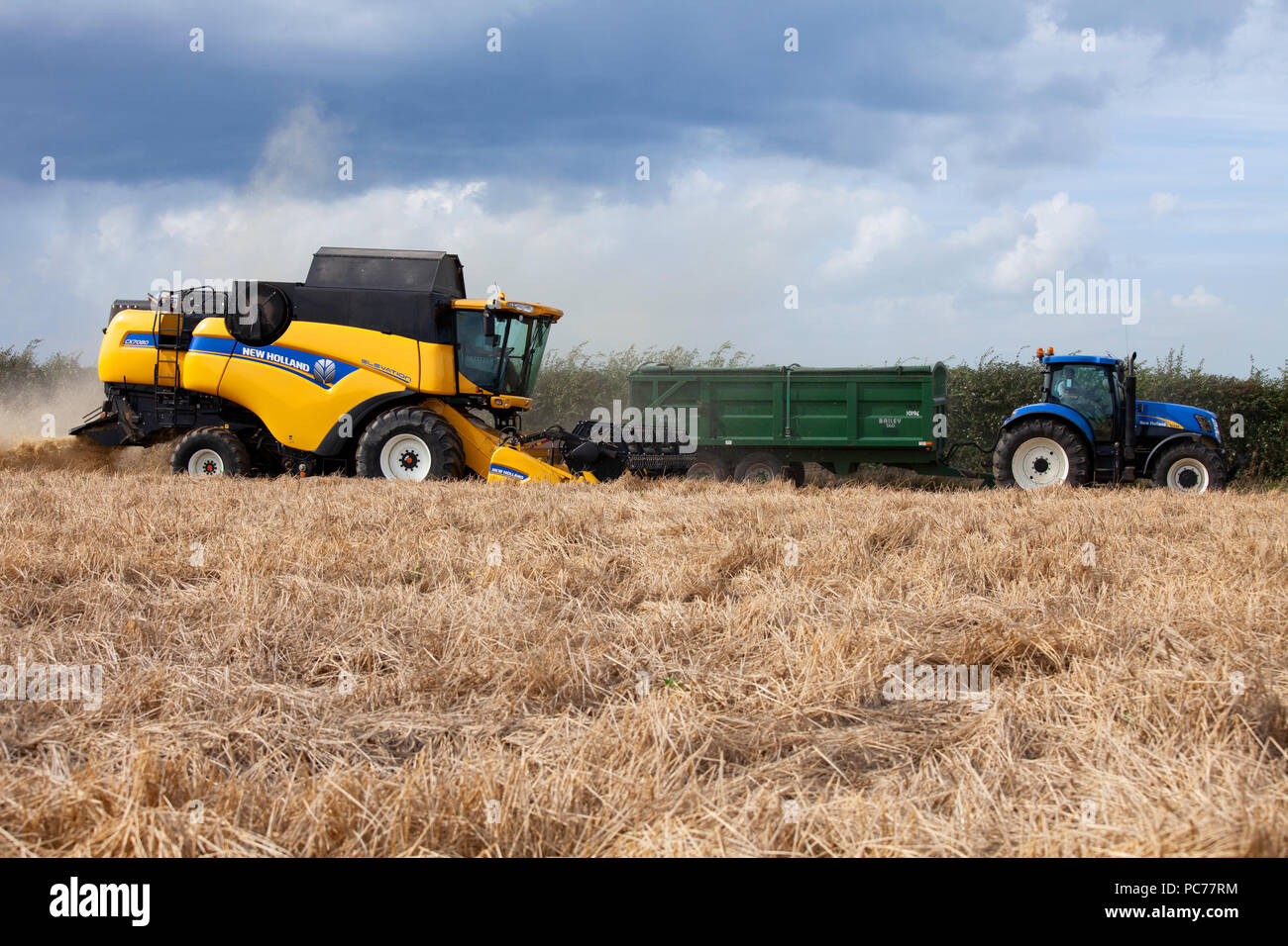 Mähdrescher Ernte von Gerste in Norfolk, Großbritannien. Stockfoto