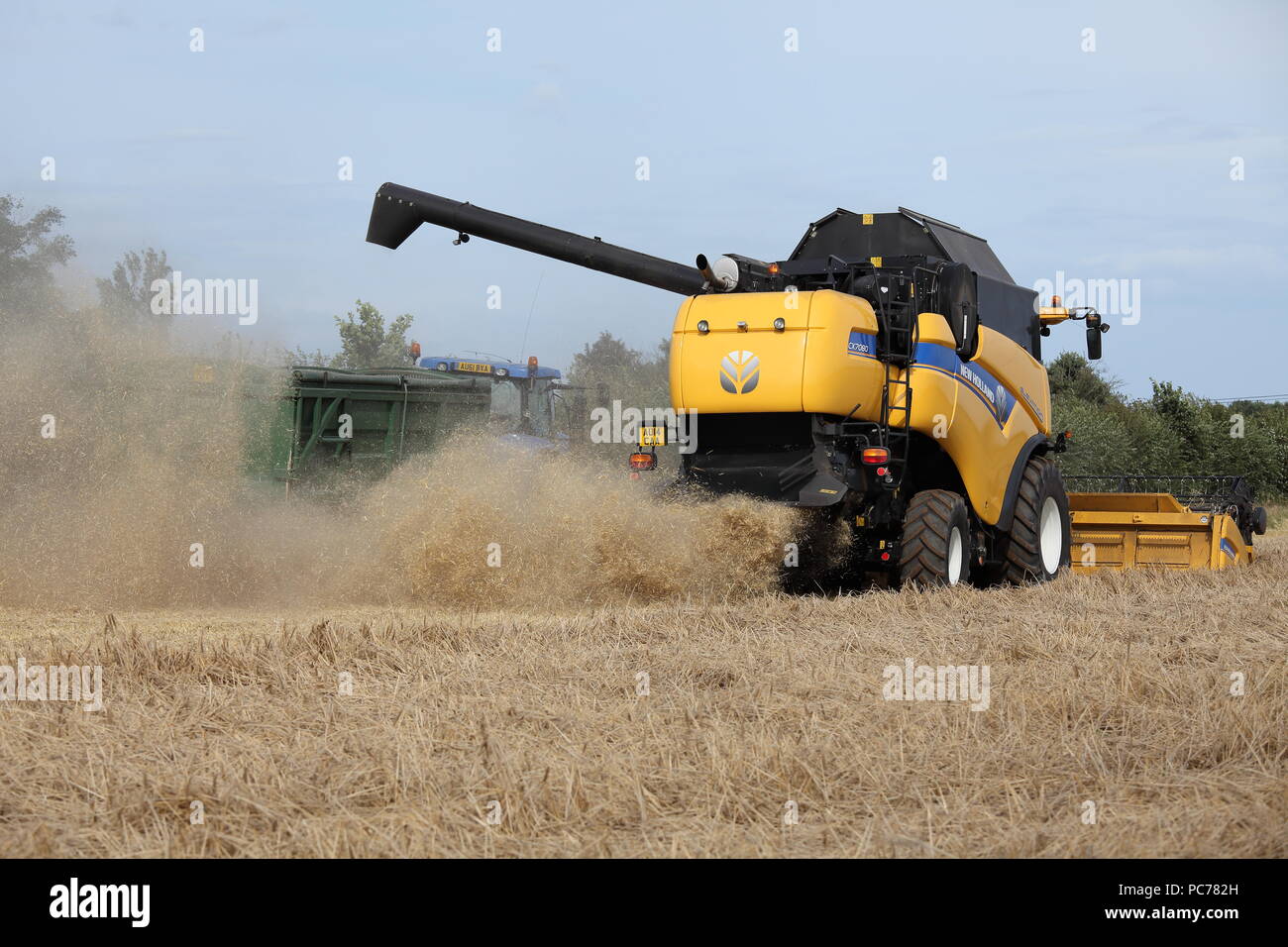Mähdrescher Ernte von Gerste in Norfolk, Großbritannien. Stockfoto