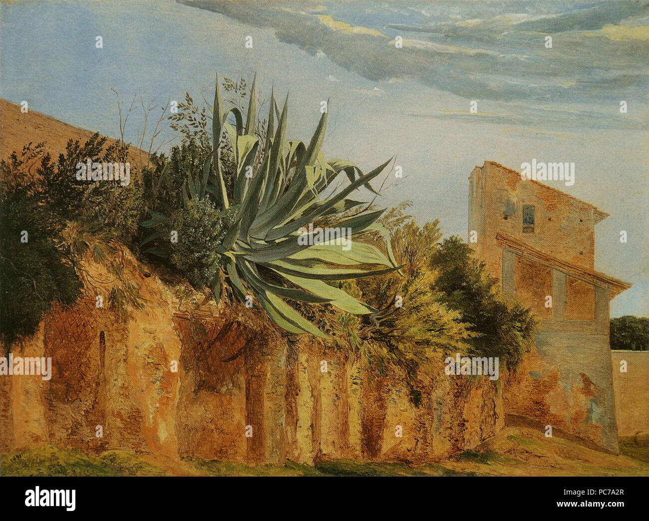 17 Carl Wagner - Agave sur un Mur de Rome Stockfoto