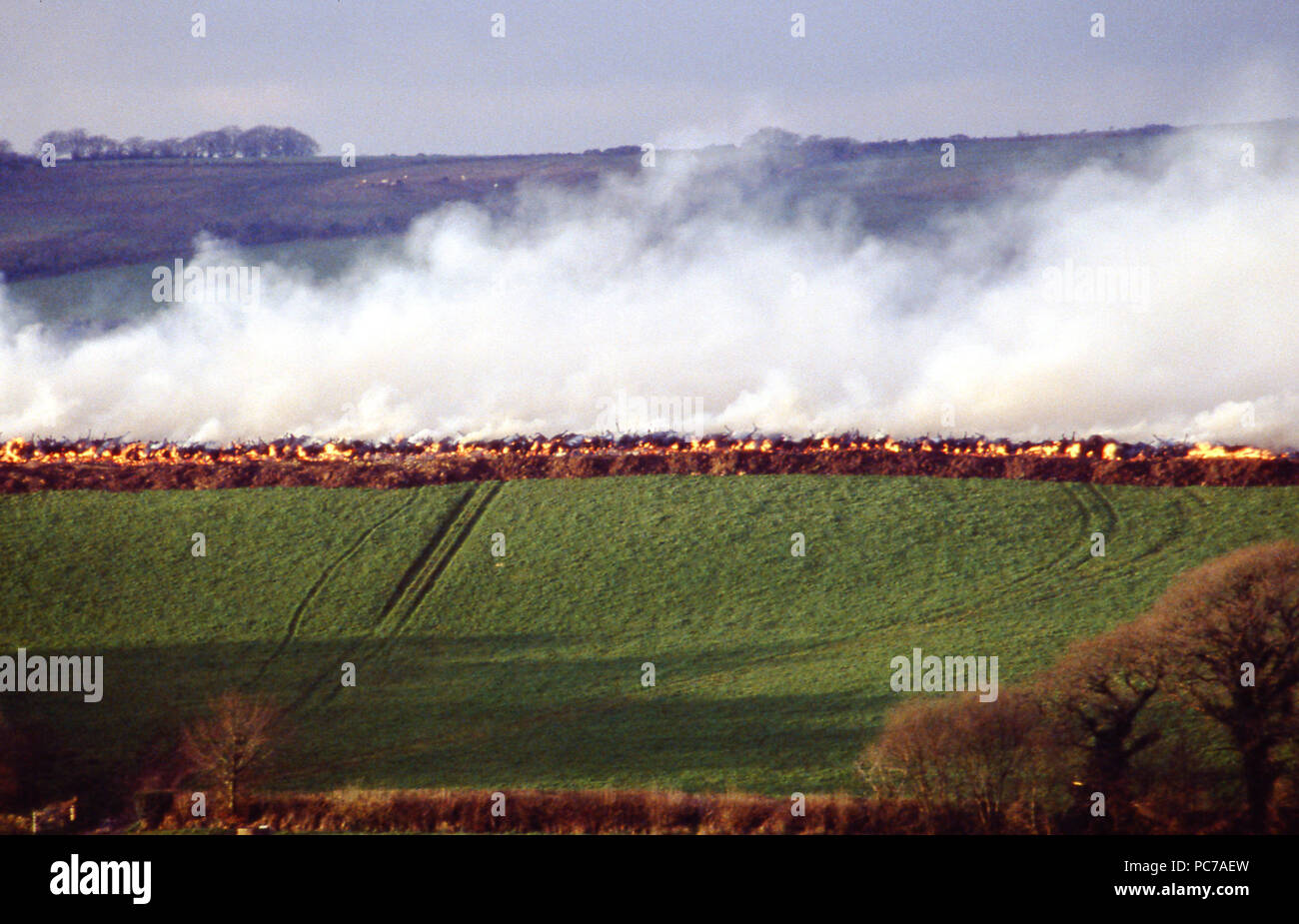 Karkasse Brennen von Maul- und Klauenseuche 2001 Stockfoto