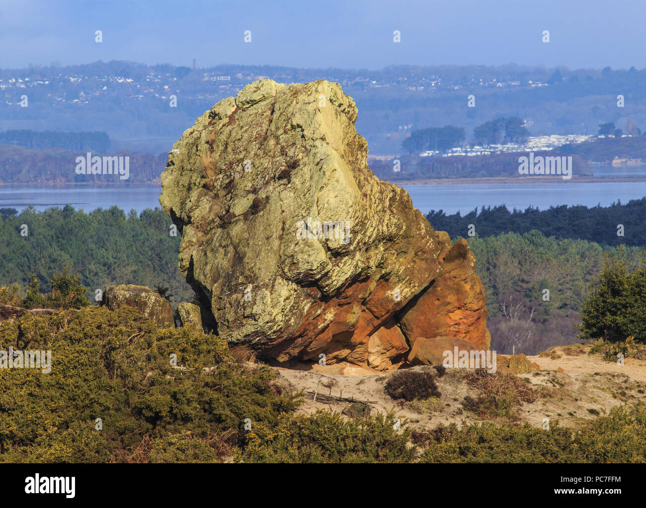 Agglestone, vor kurzem Sockel rock gefallen, erodiert Relikt aus Eisen - zementiert tertiären Sandstein genannt Agglestone Grit, Dorset, England Stockfoto