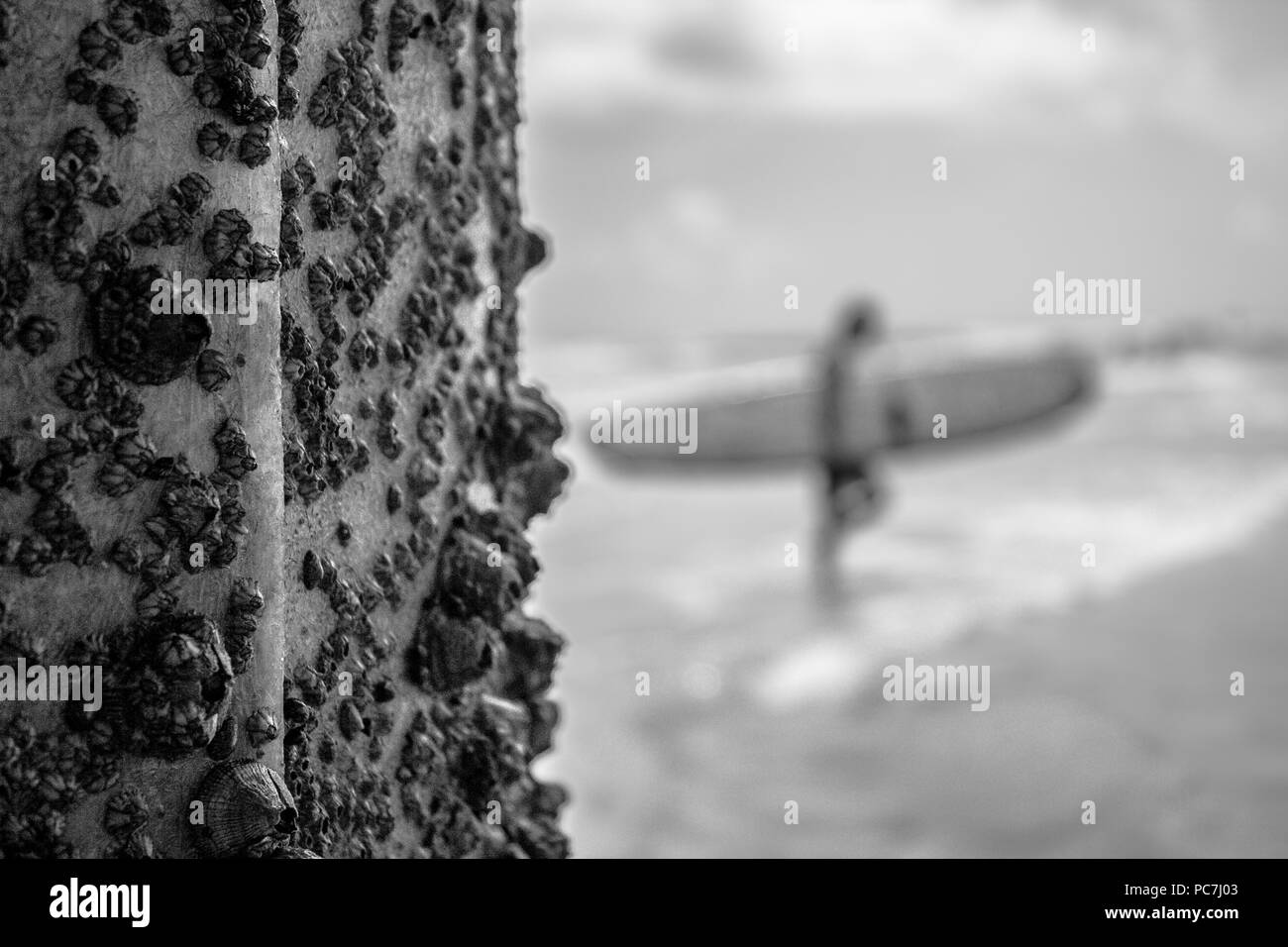 Person zu Fuß am Strand mit Surfbrett, Schwarz und Weiß. Stockfoto