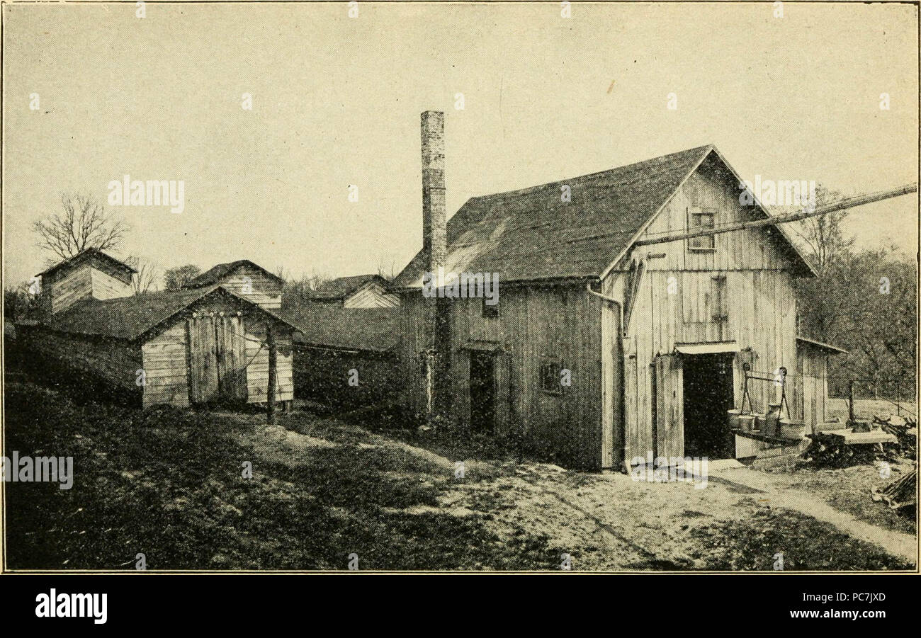 "Ferret Fakten und Phantasien; ein Buch mit praktischen Anleitungen zur Zucht, Aufzucht, Verarbeitung und Verkauf; auch ihre Verwendung und Fell Wert' (1915) Stockfoto