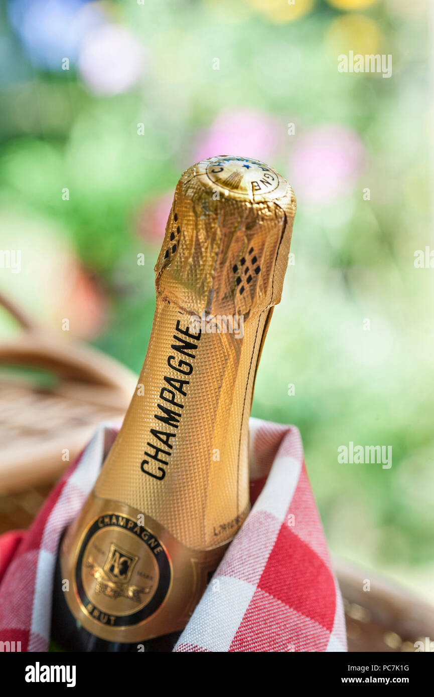 Flasche Champagner in den Picknickkorb in den späten Nachmittag Licht alfresco Luxus Sommer Picknick Situation Stockfoto