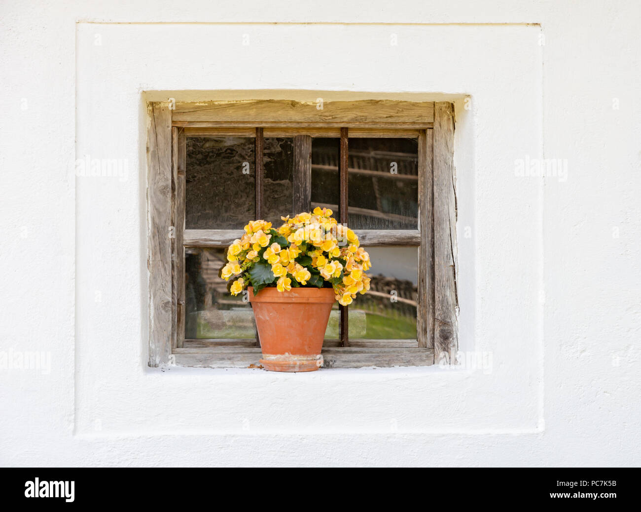 Vintage Fenster eines historischen alten Haus, dekoriert mit Blumen Stockfoto