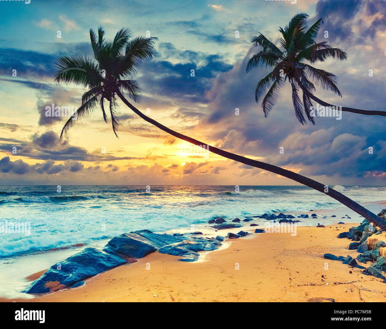 Sonnenuntergang Uber Dem Meer Palmen Im Vordergrund Tolle Landschaft Sri Lanka Stockfotografie Alamy