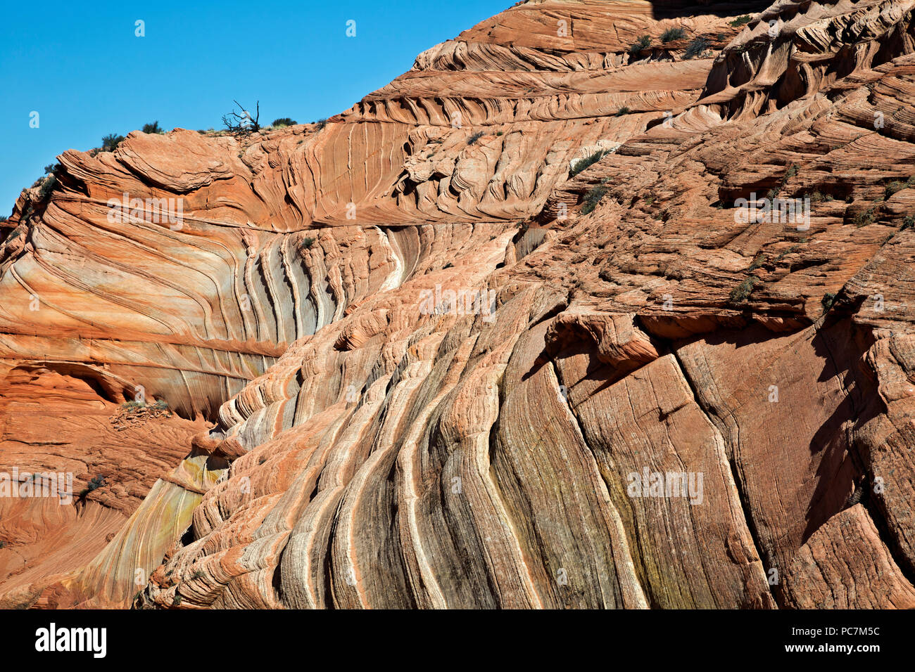 AZ 00202-00 ... ARIZONA - Die bunten Schichten- und Sandsteinformationen beneigth eine Wand mit Buttes im südlichen Abschnitt der Coyote Buttes, Par Stockfoto