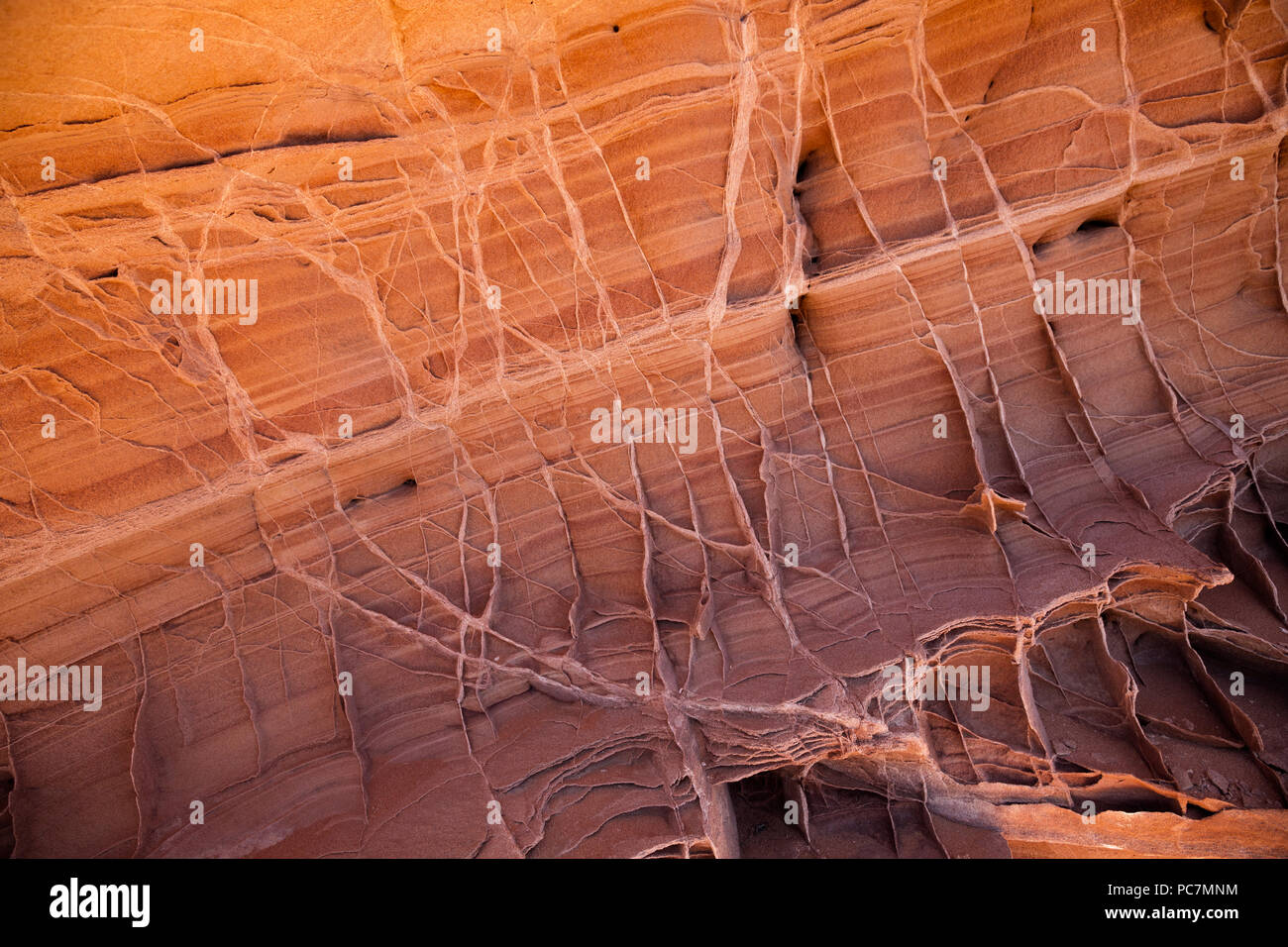 AZ 00214-00 ... ARIZONA - Verdichtung Venen Verhärten in geschichteten Sandstein in die Coyote Buttes Bereich des Paria Canyon - Vermilion Cliffs Wilderness. Stockfoto