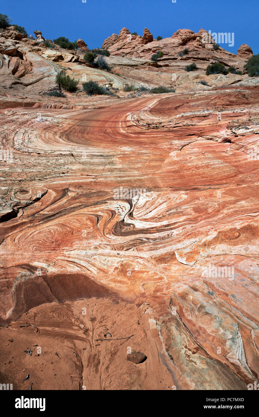 AZ 00217-00 ... ARIZONA - Swirl Muster links durch den Zusammenbruch der alten Sanddünen in der Cottonwood Cove Abschnitt der Coyote Buttes in der Paria Canyo Stockfoto