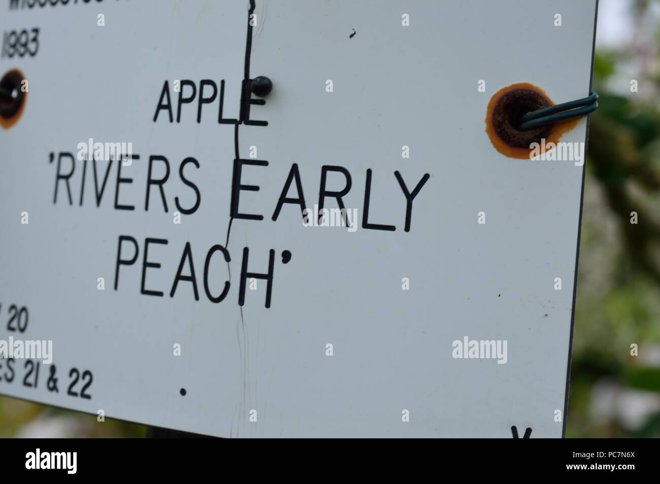 Apple unbekannt Stockfoto